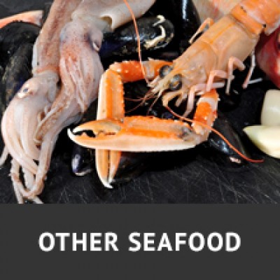 CLICK TO VIEW OTHER SEAFOOD PRODUCT PAGE